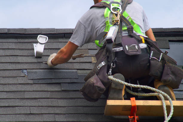 Best Sealant for Roof  in Charlotte, MI