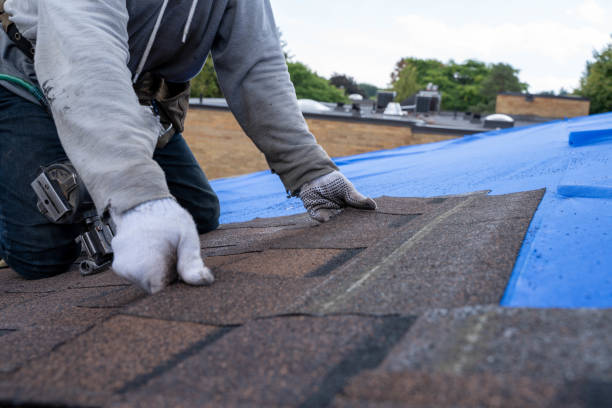Best New Roof Installation  in Charlotte, MI