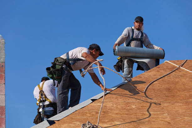 Best Commercial Roofing Services  in Charlotte, MI
