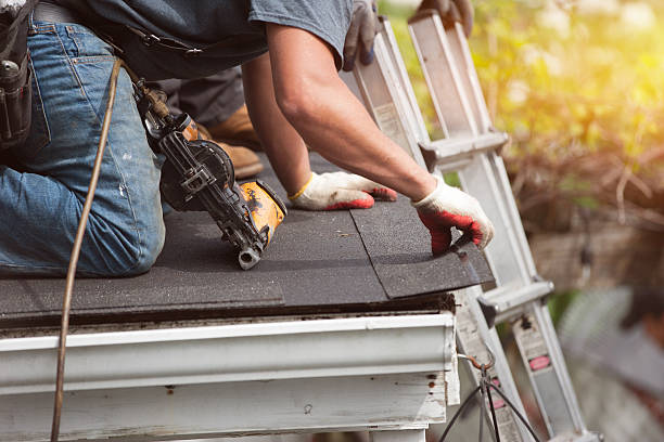 Best Roof Gutter Cleaning  in Charlotte, MI